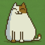 Пятничный Котик №15