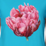 Тюльпан акварель