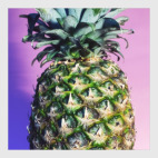 Постер 20 х 20 см Ананасы