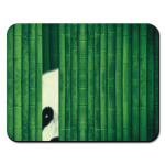 Бамбуковый медведь