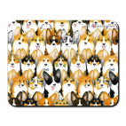 Корги должно быть много