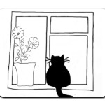 кот в окне