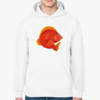 Толстовка худи