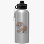 Спортивная бутылка