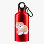 Металлическая бутылка 400 мл UV-DTF