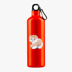 Металлическая бутылка 700 мл UV-DTF