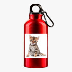 Металлическая бутылка 400 мл UV-DTF