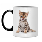 Кружка двухцветная