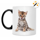 Кружка-хамелеон