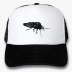 Кепки Trucker