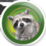 Енот-полоскун