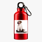 Металлическая бутылка 400 мл UV-DTF