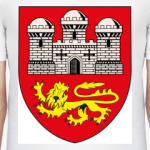 Герб города Норвичь