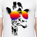 Жираф в очках