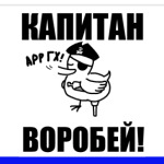  'Капитан воробей!'