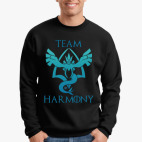 Team Harmony