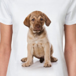 Щенки и собаки