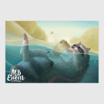 Енот в воде