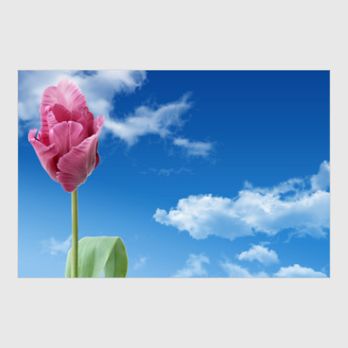 Постер с принтом Ясное небо