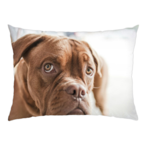 Подушка с принтом Собака