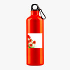 Металлическая бутылка 700 мл UV-DTF