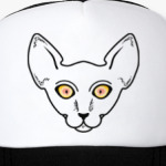 Кот смотрит на тебя