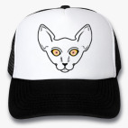 Кот смотрит на тебя