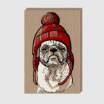 Мопс в шапке