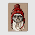 Мопс в шапке