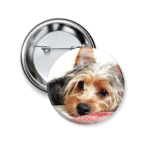 Значок 50мм с принтом Собака Йорк терьер Филя