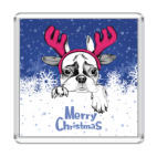 Бульдог - Олень