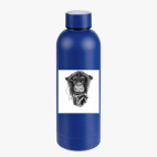 Термобутылка