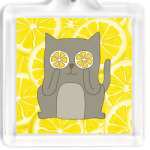 Больше солнца в твоей жизни! Позитивный кот.