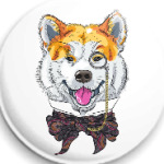 Собака хипстер Акита Ину