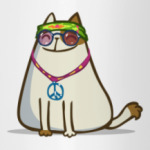 Пятничный Котик №17