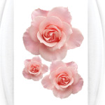 розовые розы