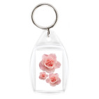 розовые розы