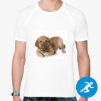 Мужская спортивная футболка