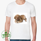 Мужская футболка органик