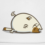  Пятничный Котик №18