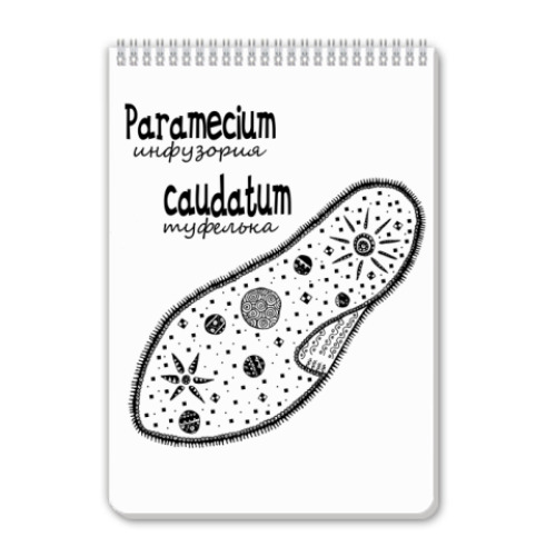 Блокнот с принтом Paramecium