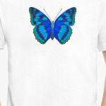 Тропическая бабочка