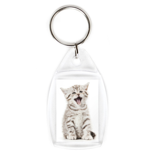 Брелок с принтом Котики-котята