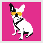 Французский бульдог