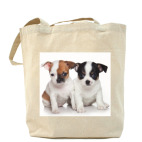 Щенки,щенята и собаки