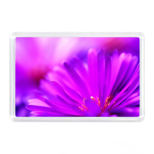 Магнит Фиолетовый Цветок