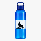 Прозрачная спортивная бутылка