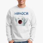 Ничоси