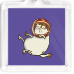 Астрокот (№26)