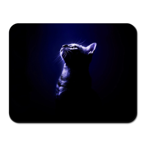 Коврик для мыши с принтом Кот